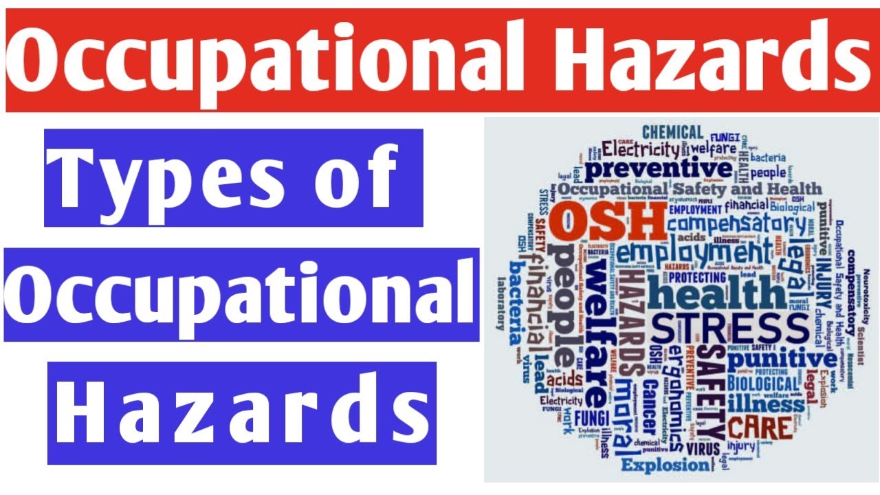 Occupational Hazards Categories Of Health Hazards 2 Figure 1 Depicts