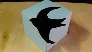 3D Art Design - Awesome Swallow Bird Cube