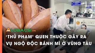 'Thủ phạm' quen thuộc gây ra vụ ngộ độc bánh mì ở Vũng Tàu | Video Alobacsi