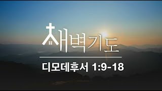 [포항큰숲교회] 24.11.13 새벽기도회