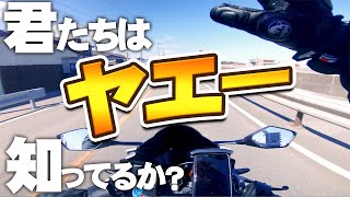 人生初ヤエーを体験してみたい！初海沿いツーリング！【CBR250RR】