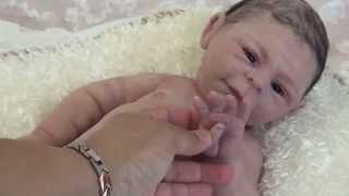 ebay claire taylor dolls for sale