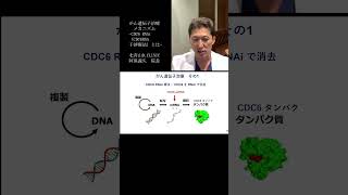 ＜がん遺伝子治療＞「がん遺伝子治療のメカニズム」より⑨CDC6 RNAi（CDC6RNA干渉療法）とは　YouTubeショート #shorts