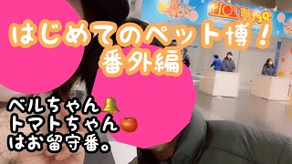 【番外編】はじめてのペット博2019横浜！ふれあいコーナー編！ただただママがはしゃいでいる動画です。今回はパパと2人で行きました。