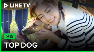 【TOP DOG】預吿：看羅志祥、胡宇威、陳楚河、任容萱等人化身浪浪守護者 | LINE TV 共享追劇生活