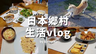 日本生活 Vlog 搬到新家後的生活～拆不完的紙箱📦 新手DIY 從鄰居家拿到好多蔬菜 好多鄉村初體驗