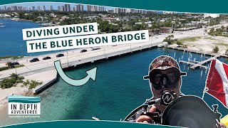 Diving Under The Blue Heron Bridge
