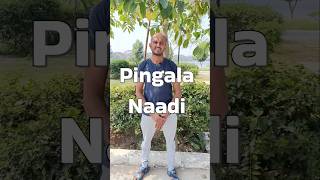 பிங்கல நாடி | Pingala Naadi#day48 #yoga #dailyvlog #my #mylife #pranayama #naadi