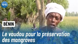 Au Bénin, la lutte pour la préservation des mangroves s’appuie sur les rites vaudous