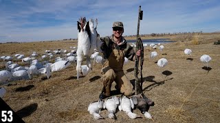 Migration Day SNOW GOOSE Hunt Over Water | My BEST Snow Goose Hunt So Far!