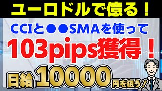 【FX】ユーロドルをCCIを使って攻略していきます【ビットコイン】【BTC】【ドル円】【USDJPY】【GOLD】【ユーロドル】【XAU USD】