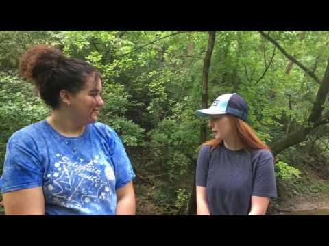 How long is Beargrass Creek?