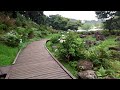 ひぬまあじさい祭り♪涸沼自然公園の紫陽花♪