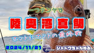 24 11 21 ホントに本当の青森陸奥湾真鯛最終戦！