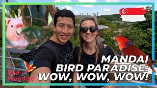 PARADISE IN SINGAPORE! // MANDAI BIRD PARADISE IS BEAUTIFUL BEYOND BELIEF! - BRAND NEW BIRD PARK!