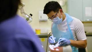 英國專科介紹 - 牙科篇 Dentistry (University of Sheffield)