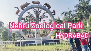 Nehru Zoological Park |Hydrabad