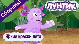 Лунтик 🌈 Яркие краски лета ☀️Сборник мультфильмов