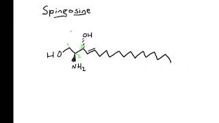 Sphingolipid Categorization