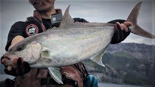 【カンパチ、ハガツオ】離島沖磯ロックショアジギング