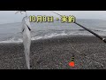 10 01　煙樹ヶ浜波情報・特別編【第1131回】昨年の10月に釣れた魚のダイジェスト版です。＃遠投カゴ釣り 和歌山釣り 煙樹ヶ浜