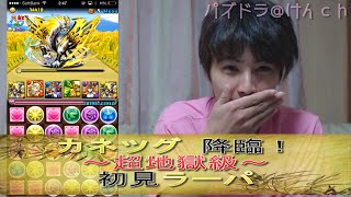 【パズドラ 無課金】 カネツグ降臨！ 超地獄級 ラーパ ～無課金400ランカーが初見ノーコンにチャレンジ！～ 【攻略】