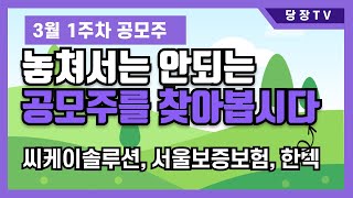 3월 1주차 공모주  청약 일정! 놓쳐서는 안되는 공모주를 찾아봅시다 | 씨케이솔루션, 서울보증보험, 한텍