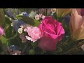 Warning about dating scams