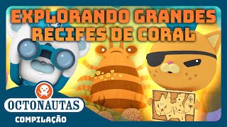 Octonautas - 🪸 Explorando Grandes Recifes de Coral 🐠 | Compilação | Episódios inteiros