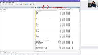 Debugging with IDA: Setting up IDA for use with Windbg's debugger engine