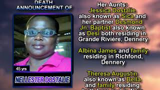 Nellester Dostalie long