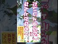 もうすぐ発売の斎藤一人さん【新刊ご紹介】「今はひとりでも、絶対だいじょうぶ」 斎藤一人さん 新刊　 shorts