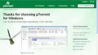 How to download MS Office 2010 via Torrent