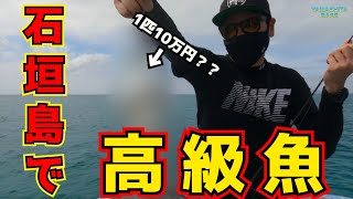 石垣島で高級魚GET!?