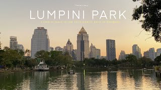 diary vlog : 1 วันชิวๆที่สวนลุมพินี 🌳 (Lumphini Park) | Kwang's diary