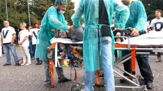 Stop vivisection presidio a Verona - 28.09.2013