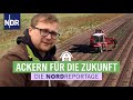 Ackern für die Zukunft - Der junge Kartoffelbauer | Die Nordreportage | NDR