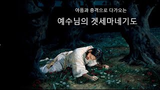 아픔과 충격으로 다가오는 예수님의 겟세마네 기도