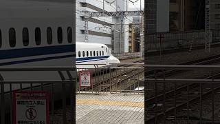 新横浜駅　東海道新幹線東京行　train #shorts