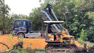 Wonderful ! Landfilling Operator Bulldozer D20 Push Soil,Clearing Tree \u0026 5T Trucks Unloading