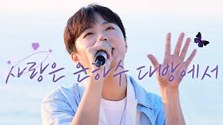 [박시환 직캠] 사랑은 은하수 다방에서ㅣBTN 라디오 울림파티 in 태안 240907