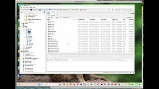 Basic Forensic Analysis with Autopsy - part 1