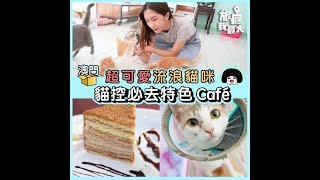 【貓控注意！超可愛澳門流浪貓貓café ! 】Catfee｜領養收養｜貓狗之家｜手沖咖啡｜少女風打卡