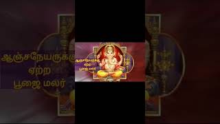 ஆஞ்சநேயருக்கு உகந்த பூஜை மலர் | @indrayanaal #short #reels #god