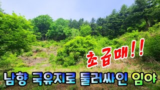 [양평토지급매] 남향의국유지로 둘러쌓여있는 친환경적인뷰/  서울50분거리/ 아름다운 중원천과 계곡이 어우러진 곳의 임야 초급매♣매물문의:  031-524-9734