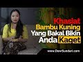 Manfaat Bambu Kuning Dalam Dunia Mistis - Dewi Sundari