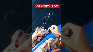 【サップフィッシング】この魚はなに？#サップフィッシング #カヤックフィッシング #釣り #カヤック #サップ #アングラー #真鯛 #マゴチ