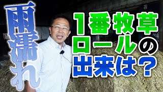 雨に当たった1番牧草ロールの出来は？【第152回】