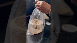 Easy trick to Grow Mushroom in Tissue paper from scratch 🍄‍🟫 🍄 at home