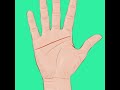 What Your Palm Lines Say About Your Personality